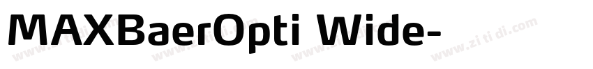 MAXBaerOpti Wide字体转换
